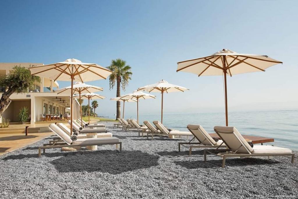 parasol bois design haut de gamme pour plage piscine restaurant